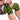 Knee Wraps, black/yellow, 2 m