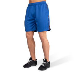 Reydon Mesh Shorts, blue