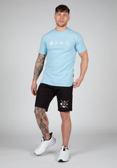 Swanton T-Shirt, blue